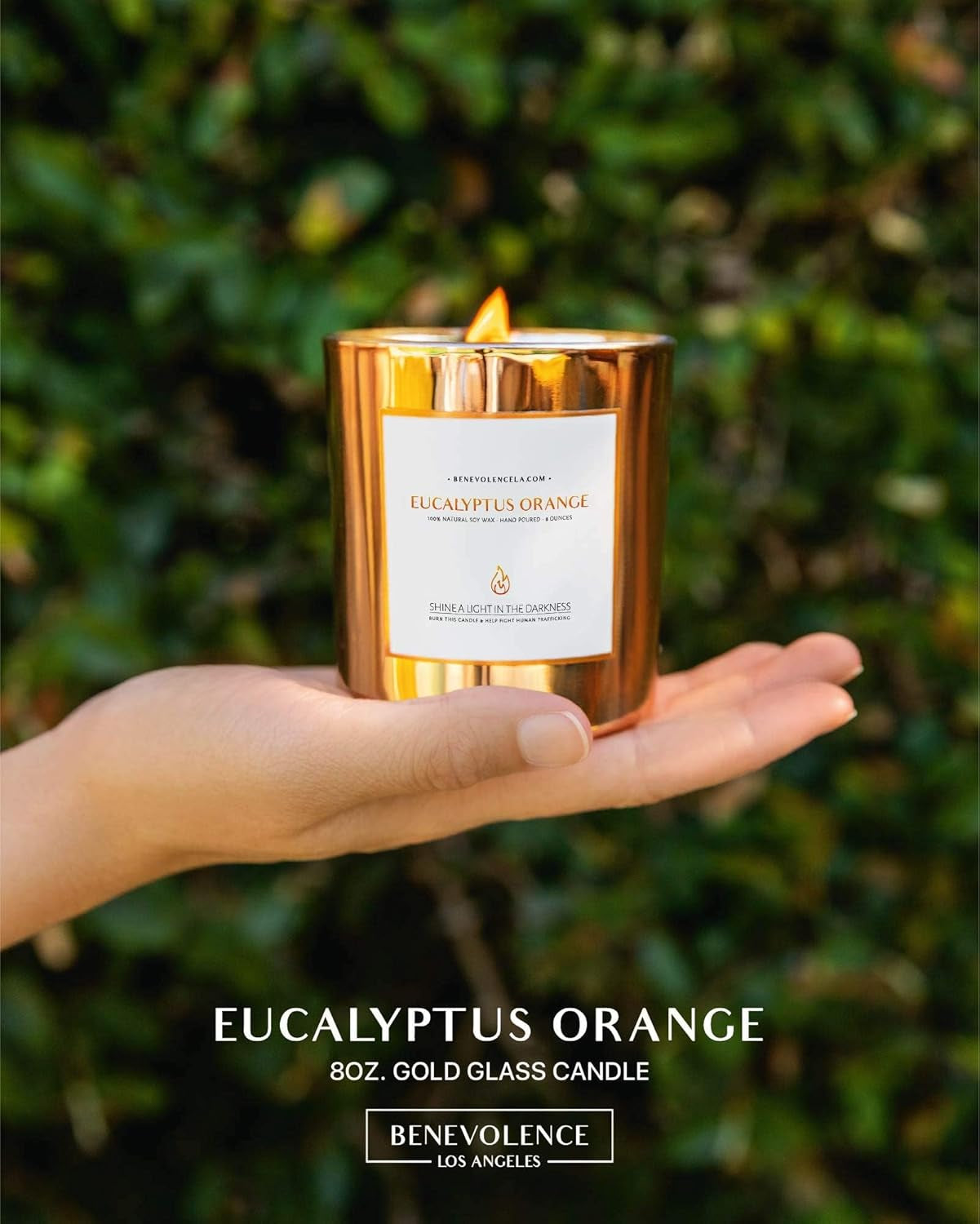 Eucalyptus Orange Wood Wick Candles | Soy Christmas Scented Candles for Home | Holiday Candle Gifts for Women and Men | Home Fragrance | Aromatherapy | Shelf Decor | 8Oz, 45 Hour Burn