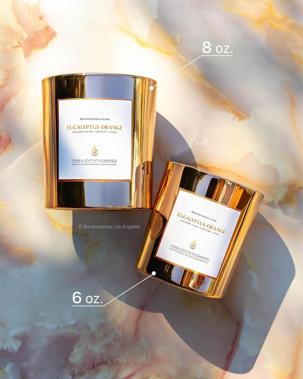 Eucalyptus Orange Wood Wick Candles | Soy Christmas Scented Candles for Home | Holiday Candle Gifts for Women and Men | Home Fragrance | Aromatherapy | Shelf Decor | 8Oz, 45 Hour Burn